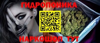 крисы Кимры