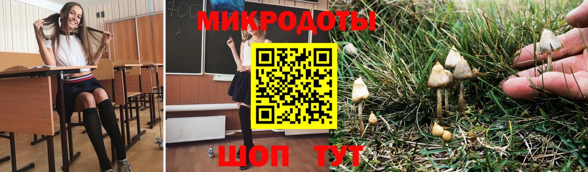 Галлюциногенные грибы Psilocybine cubensis  сколько стоит  Галлюциногенные грибы прущие грибы  Аксай  Вход с VPN 